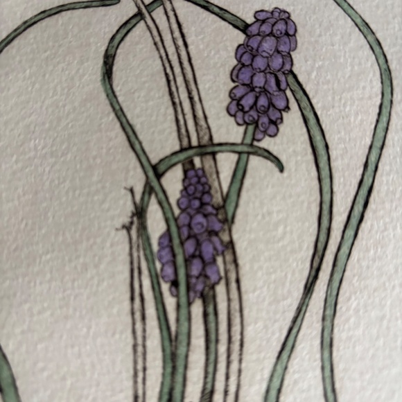 Grape Hiacynth signed/numbered etching by Jody Mahaffie - Picture 2 of 4